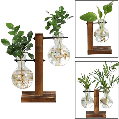 Terrarium Hydroponic Plant Vases - Stylish and Modern Design