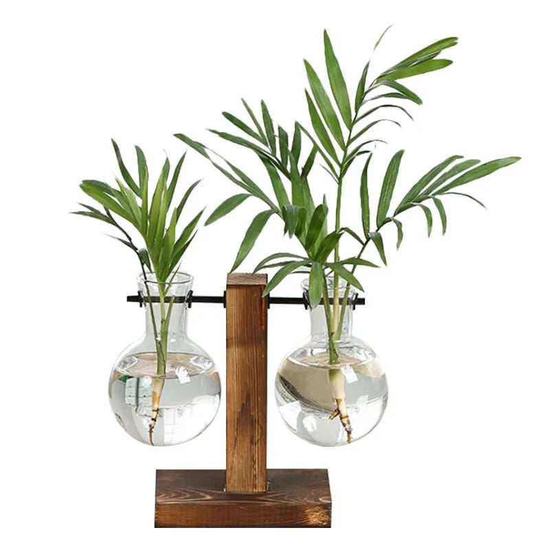 Terrarium Hydroponic Plant Vases - Stylish and Modern Design