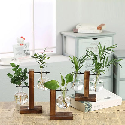 Terrarium Hydroponic Plant Vases - Stylish and Modern Design