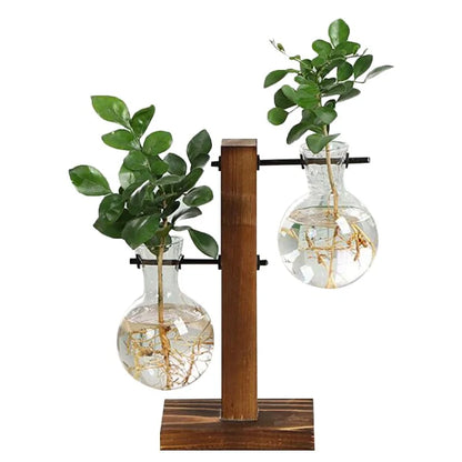 Terrarium Hydroponic Plant Vases - Stylish and Modern Design