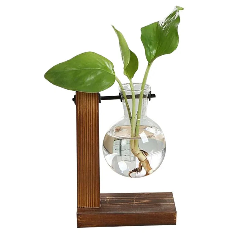 Terrarium Hydroponic Plant Vases - Stylish and Modern Design